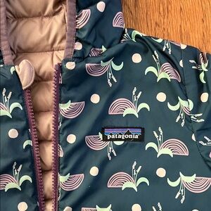 Patagonia Reversible Down Sweater Hoody